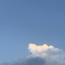 CARDI espresso bar 이미지