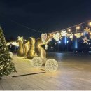 별빛정원 이미지