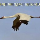 학