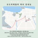 오드리헤어 이미지