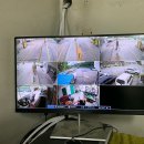 양지주유소 이미지