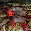 중앙동-03 이미지