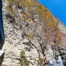 마이산주유소 | 진안 마이산