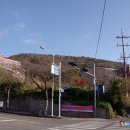 인천장애인종합복지관체육관 | 전남 여수 호암산(280m) 호랑이 전설이 전하는 등산 초보자의 동네산(2025.11.29)