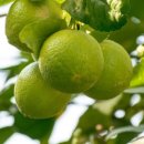 리젠치과의원 이미지