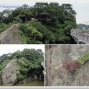 백마식당 이미지