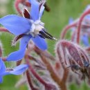 건강더하기치과의원 이미지