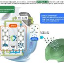 오투피부과의원 이미지