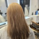 카야헤어 | 카야헤어스타일리스트 신데렐라크리닉 &amp; 커트 후기 :: 부산괴정미용실