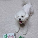 (주)메가덴탈 이미지