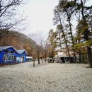 강원도오토캠핑장 솔밭체육공원오토캠핑장 추천