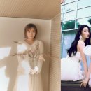 이예준 카카오 검색결과