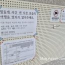 에일린게스트하우스 이미지