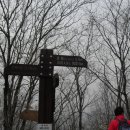 감나무식당 이미지