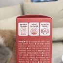 바이올독 푸드 | 강아지 종합영양제 올독 기호성 급여 후기