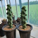 용비농장 이미지