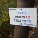 만추가경