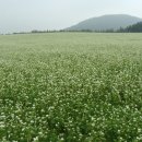 성읍리-6 이미지