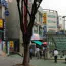 은빛꽃꽂이조경학원 이미지