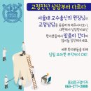 홍성준치과교정과치과의원 이미지