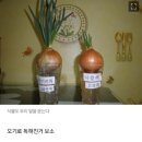 THE안경원 네이버블로그