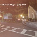 희생 봉사하신 우리 자매님들을 생각하면서...Thinking of our sisters who sacrificed their lives 이미지