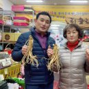 수억인삼