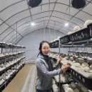 노루농장 이미지