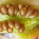 프로컴 이미지