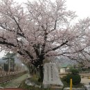 월산초등학교 이미지