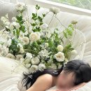 윤정 | 1년 반이 지난 엘루스제이(Feat.윤정쌤 헤어변형 후기