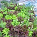 전원약국 이미지