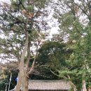 우진정비 - 창원시 진해구 월남로138번길 22 | [제주공항근처관광] 제주 삼성혈과 우진해장국 코스 추천!