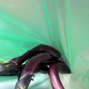 세봉농장 이미지