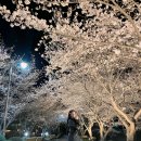 동신대학교 미래학사 앞 이미지