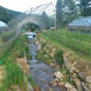 다래농장 이미지