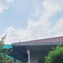 비슬오산골 네이버블로그