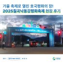 축제-평화의 축제 | [칠곡서포터즈] 가을 축제로 열린 호국평화의 장! 2025칠곡낙동강평화축제 현장 후기