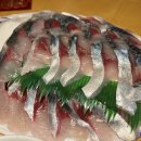 빌라노이제주 | 제주도 산방산펜션 빌라노이제주 내돈내산 솔직 후기