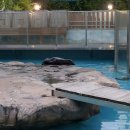 르미에르 이미지