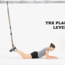 Suspended TRX - Plank 이미지