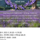 더허브원