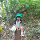 청사초롱 유아숲체험원 이미지