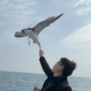 외도여행 이미지