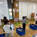 삼성샛별유치원 이미지