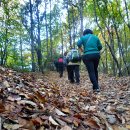군포-수리산의 가을 임도와 산책로 이미지