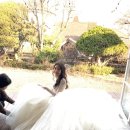 에일린에이 이미지