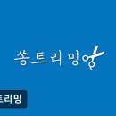 쏭트리밍 이미지