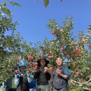 크라운농장 이미지