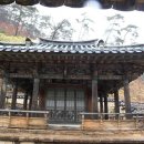 봉황444 이미지